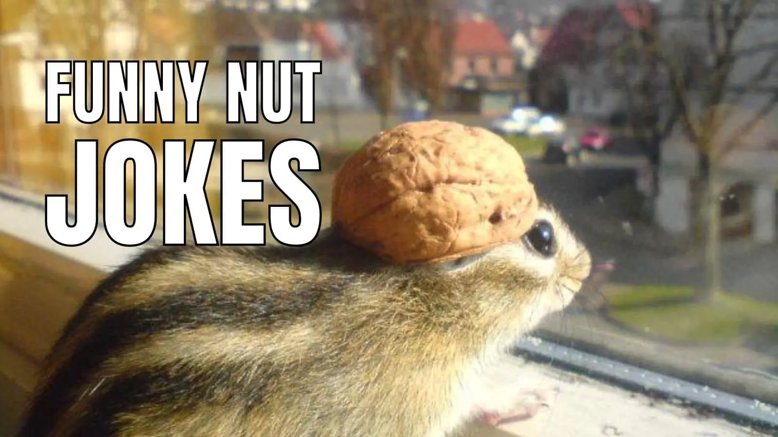 these nuts joke