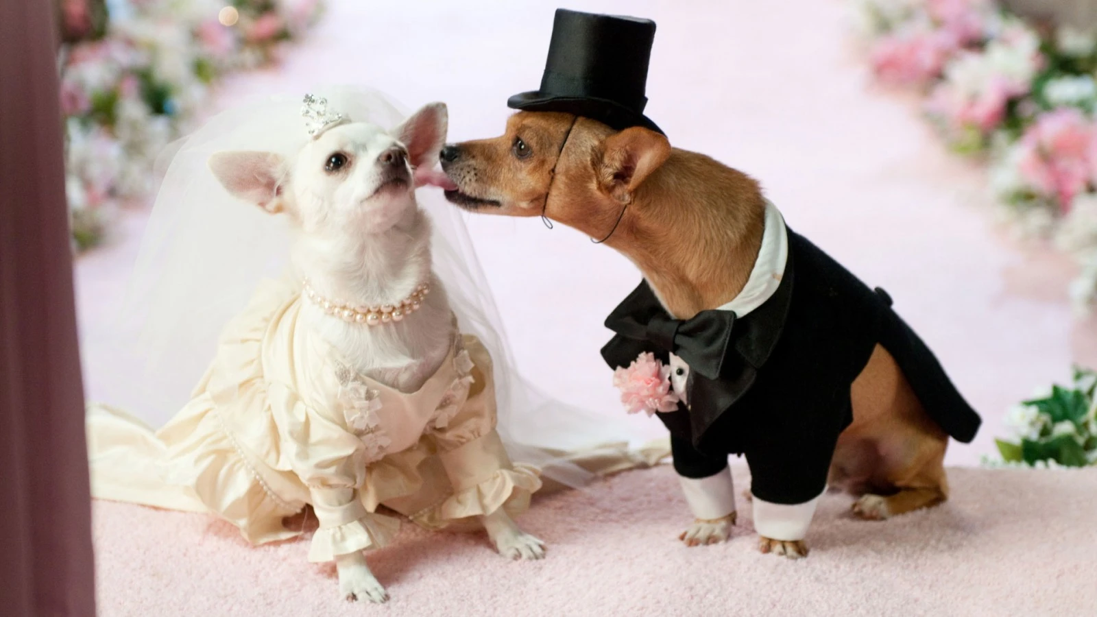 wedding jokes